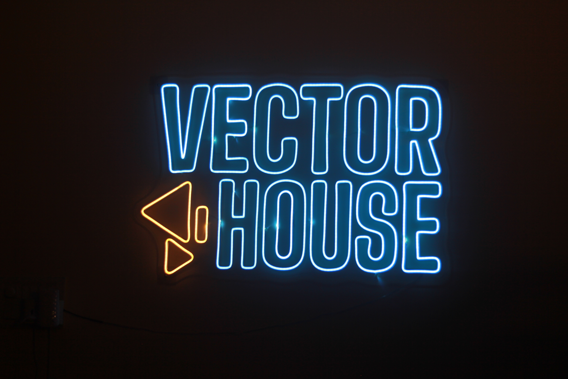 Vector House